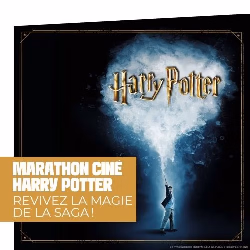 tournee_harry_potter_marathon_cine_generique.jpg